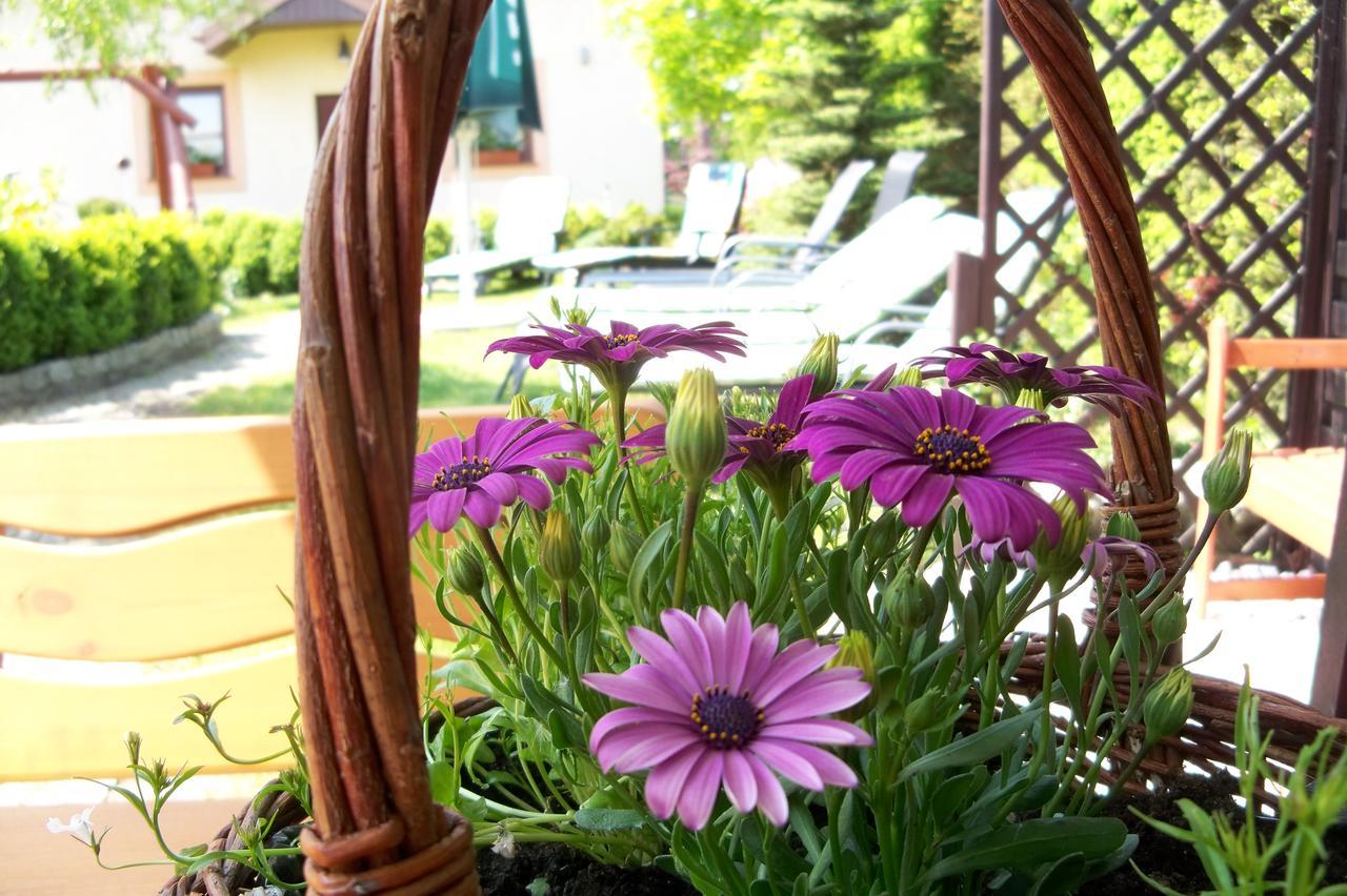 D.L.Blazkiewicz Bed and Breakfast Mielno  Εξωτερικό φωτογραφία